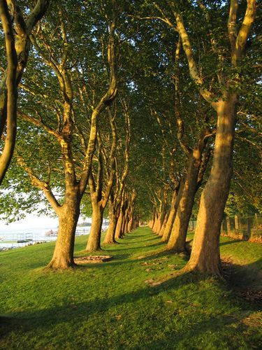 szabad_strand.jpg